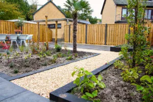 Strakke moderne tuin met palm, sierbestrating en afgekaderde plantvakken